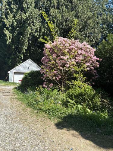 Sunset House | 10 Mins to YVR & Kits Beach - Cozy Victorian Room, Free Parking
