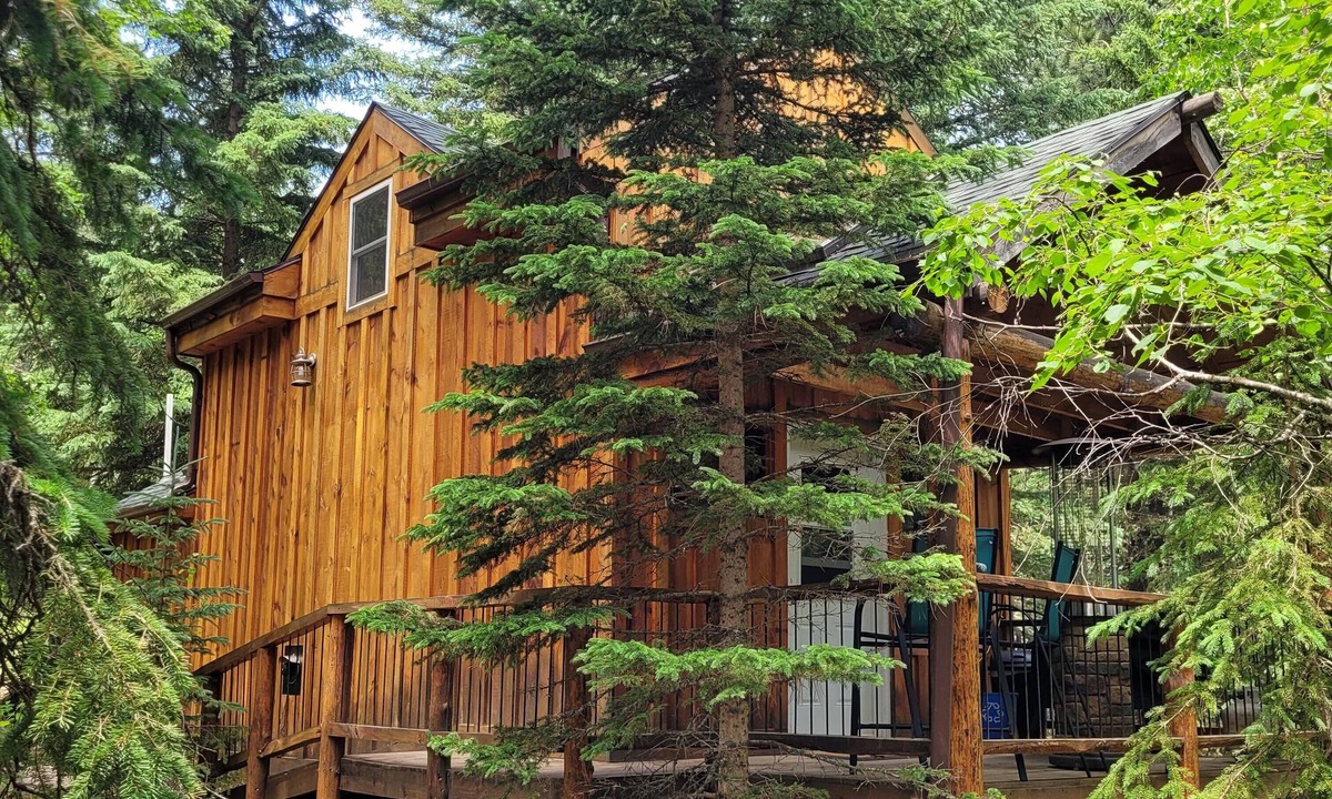 Deadwood Cabin | A remote cabin surrounded by Pine, Birch and Aspen trees, five miles to Deadwood