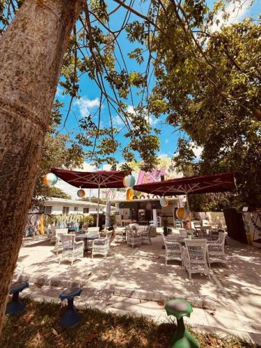 Little Haiti Apartment | apartamento DD