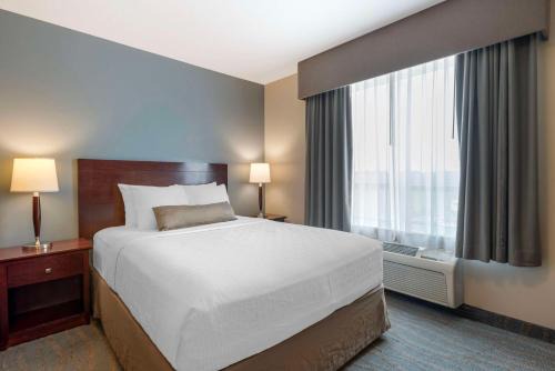 Rocky Mountain House Hotel | Best Western Rocky Mountain House Inn & Suites
