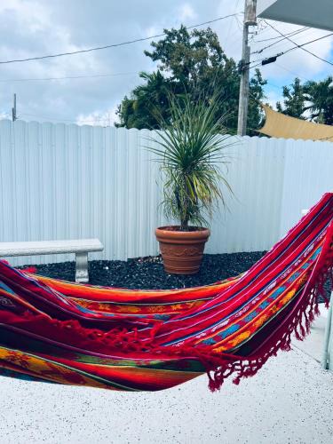 Flagami House | Casita Cafe