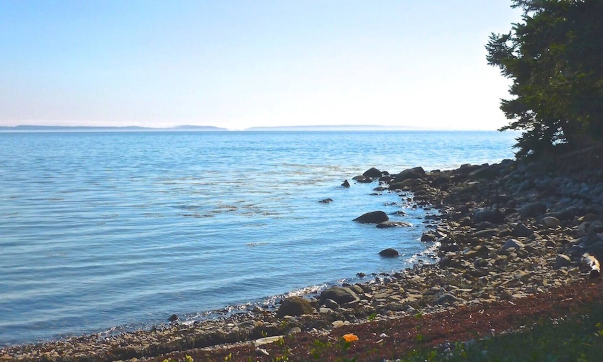 Bernard Cottage | Charming Cottage with Great Ocean Views in Quiet Wooded Setting near Acadia