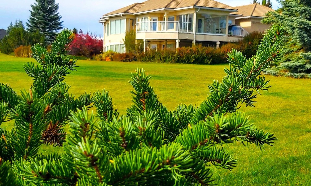 Bearspaw House | Countryside Escape: Private Suite with Scenic Views