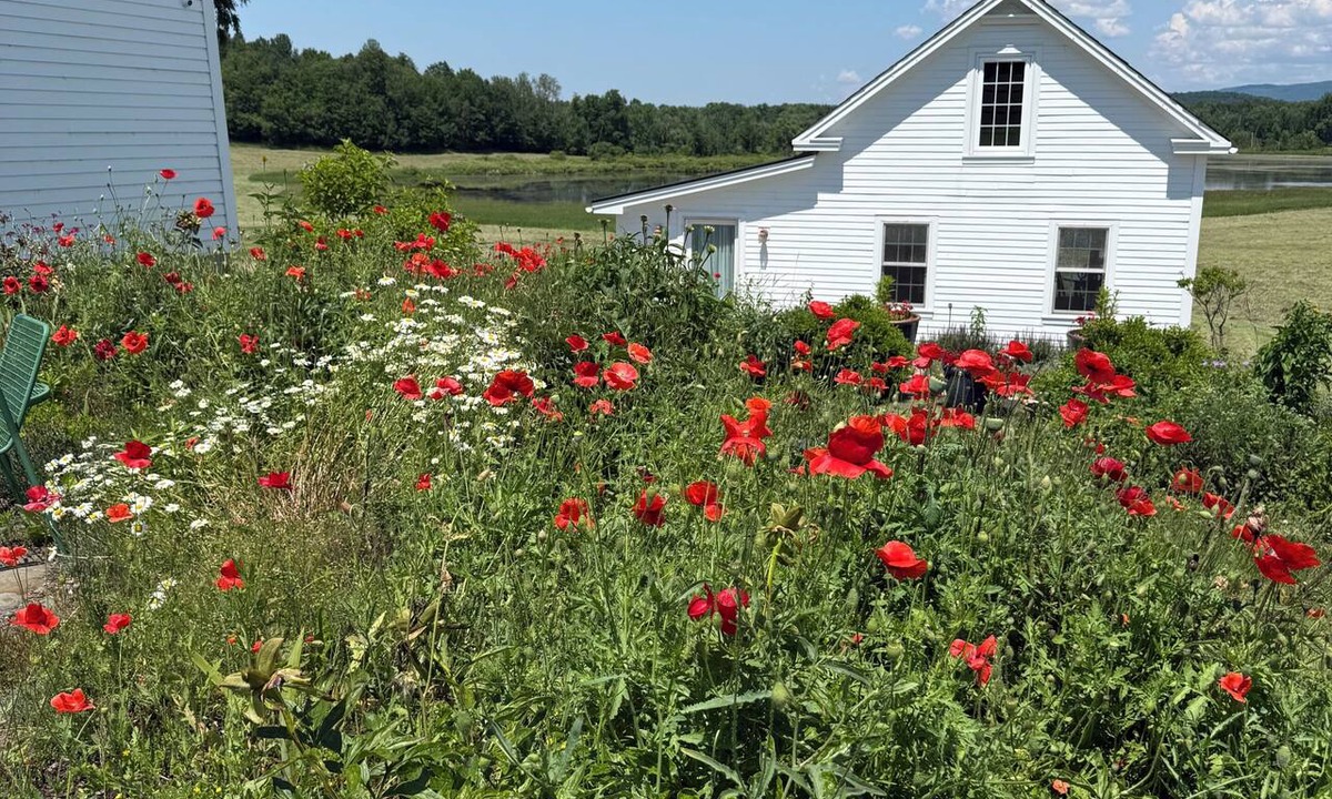 Brandon Cottage | Cozy 1-bedroom cottage on beautiful organic farm in Vermont