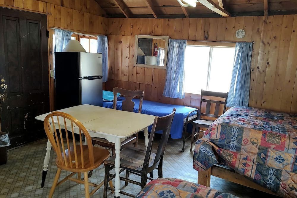Bellvue Cabin | Cozy, Pet Friendly Cabin Deep in the Mountains for a Serene Getaway of Wilderness and Wildlife
