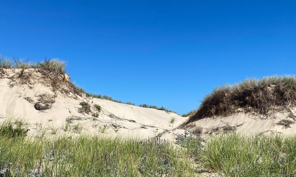 Orleans House | Experience Cape Cod History