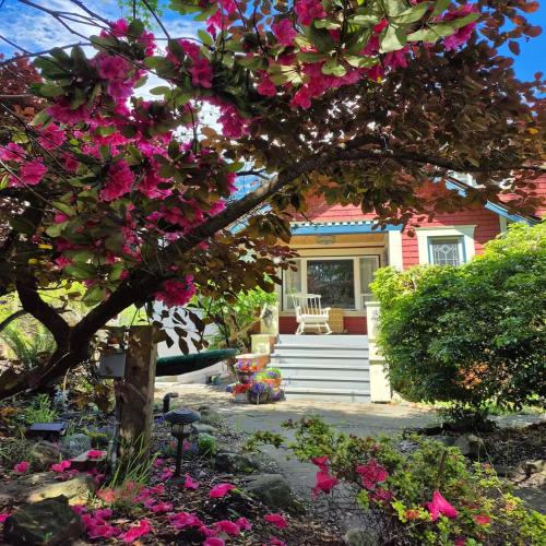 Hastings Apartment | Garden suite on Trinity St