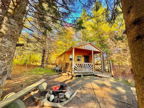 Barton Other | Greenhope Cabin