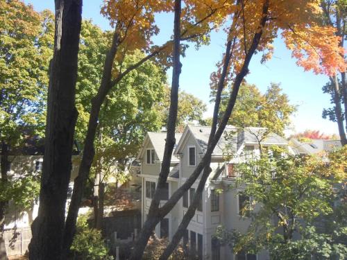 Mid-Cambridge Apartment | Harvard Square Home in Heart of Cambridge