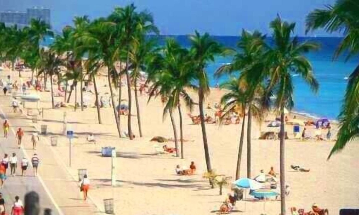 Royal Poinciana Apartment | Hollywood Vacation Mins to Beach & Hard Rock #193