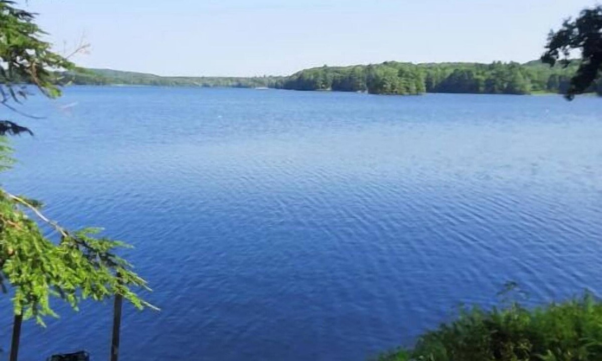 Hinesburg Cottage | Lake Iroquois. Cozy Lakeside Retreat, Close to Williston, Burlington, Skiing