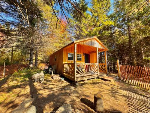 Barton Other | Lookout Cabin