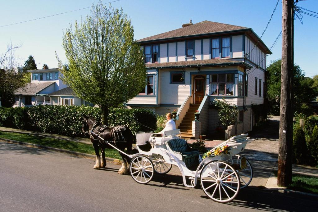 James Bay Bed & Breakfast | Marketa's Bed and Breakfast
