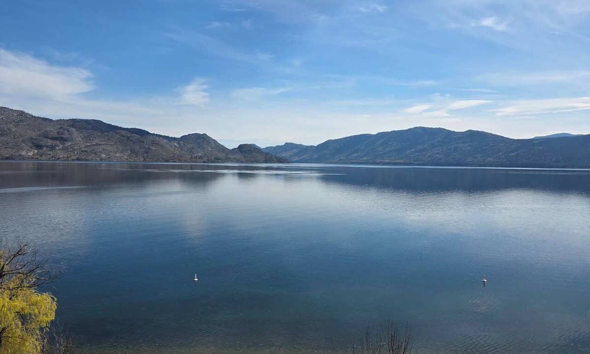 Central Okanagan Apartment | Modern Deluxe Loft | Central, Quiet & Spacious