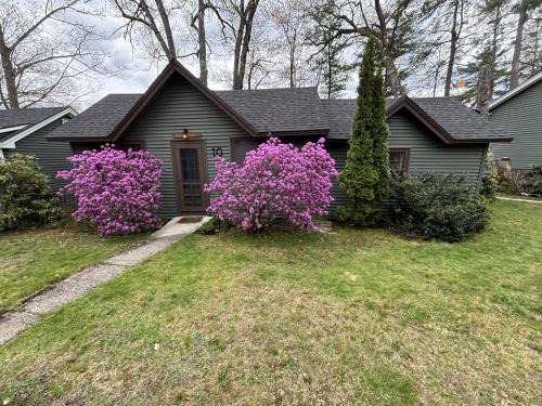Holderness House | Moose Manor- Squam Waterfront