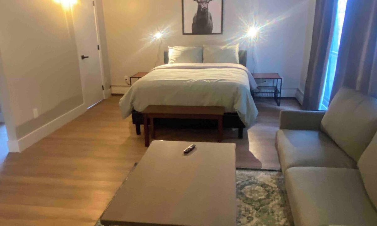 Northeast Edmonton House | Morden Newly Renovated 1br Flats, Walk To Whyte