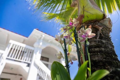 Lake Worth Hotel | Palm Breeze Hotel