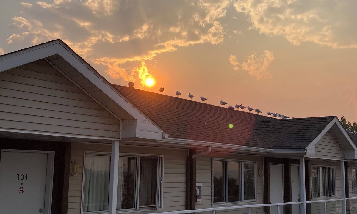 Sylvan Lake Hotel | Raccoon Lodge