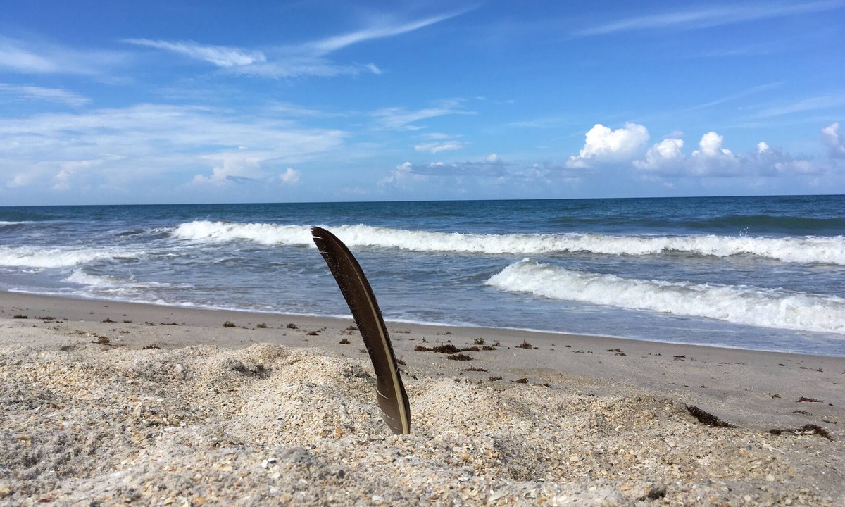 Vero Beach House | Rare experience at Old Florida mid-century seaside estate