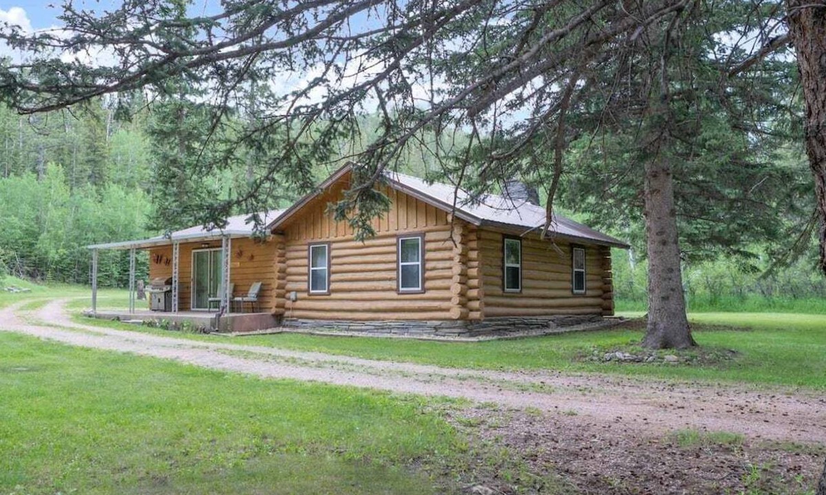 Custer Resort | Rustic Roost Log Cabin | 1 Bed, 1 Bath