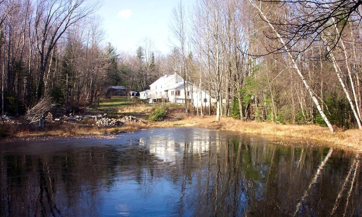 Stony Creek Cottage | Secluded Cottage Rental in the Woods in Stony Creek, New York
