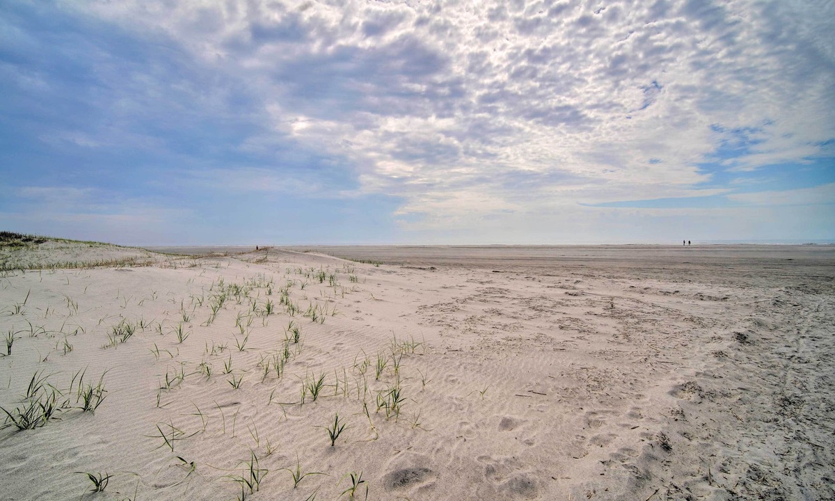 Southend Cottage | Spacious Brigantine Home ~ 1 Block to Beach!