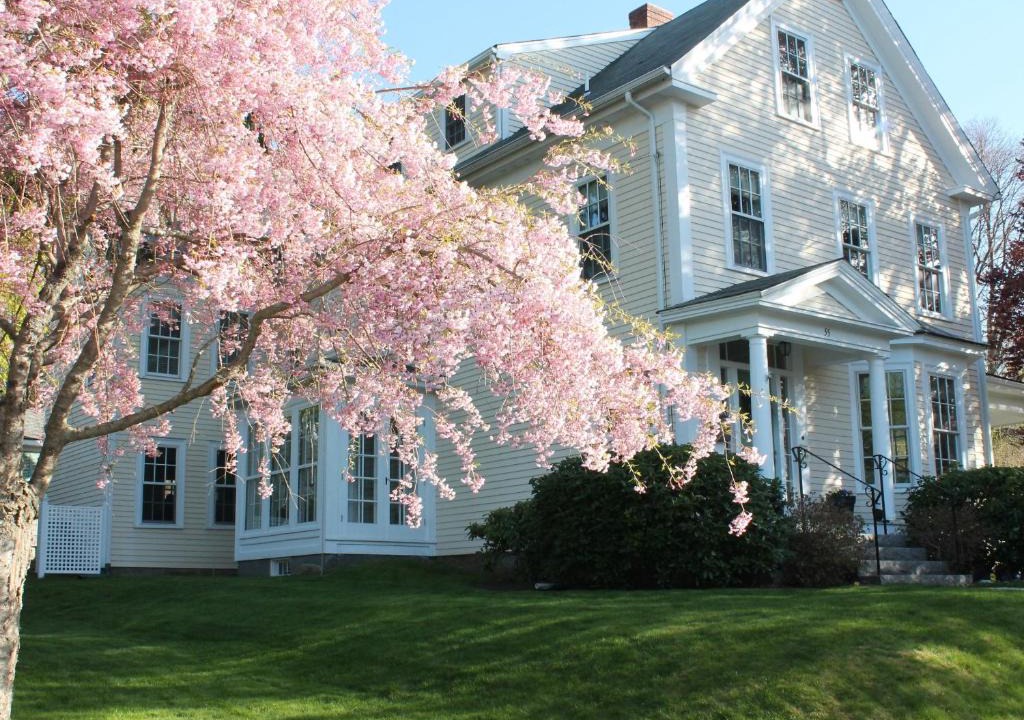 Rockport Bed & Breakfast | The Beech Tree B&B