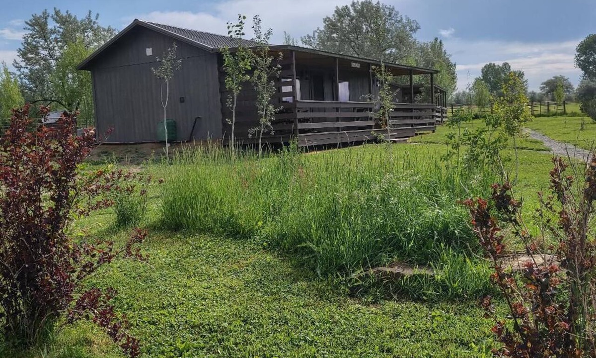 Lovell Cabin | The Lazy Wolf Cabin at Wolf Haven Cabins