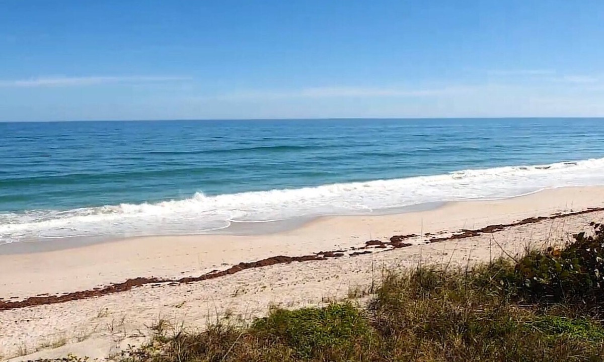 Melbourne Beach House | Townhome #5 Beachfront Property -Saltwater Pool-Private Beach- Sleeps 8