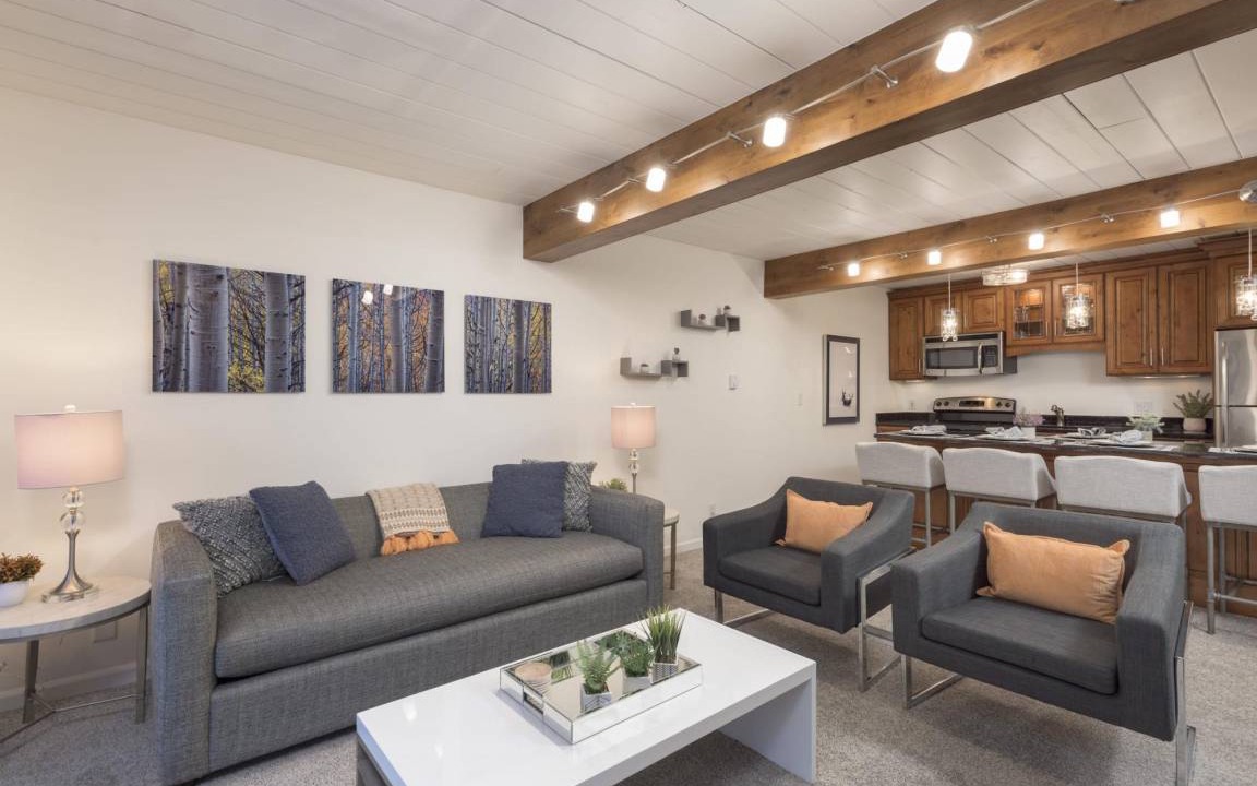 Aspen Apartment | Updated 2BR in the Heart of Aspen