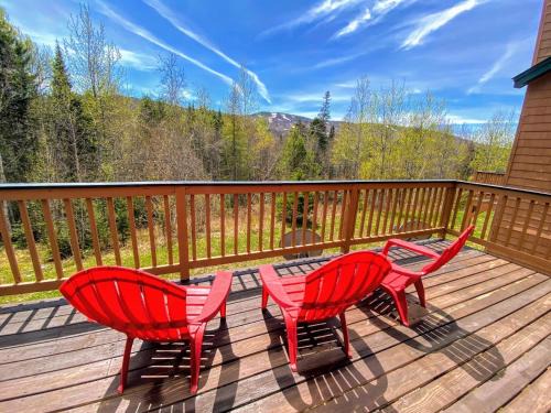 Carroll Villa | W8 Mount Washington Place Townhome great slope views fireplace large deck yard and ping pong