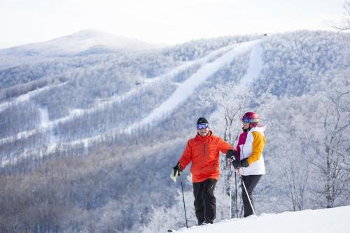 Windham Apartment | Windham Ridge Chalet