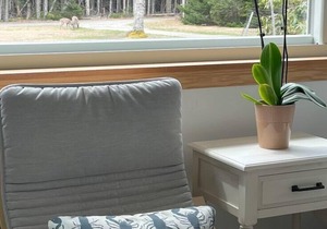 Driftwood Cottage: Bass Harbor, ME
