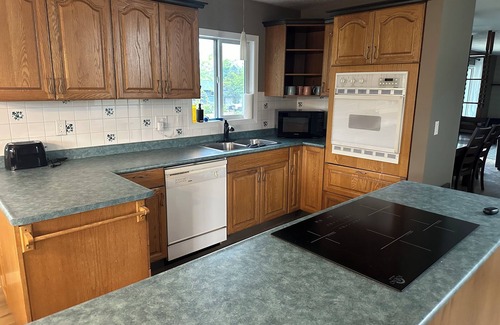 Valemount House | Large newly renovated house. Cozy and convenient.