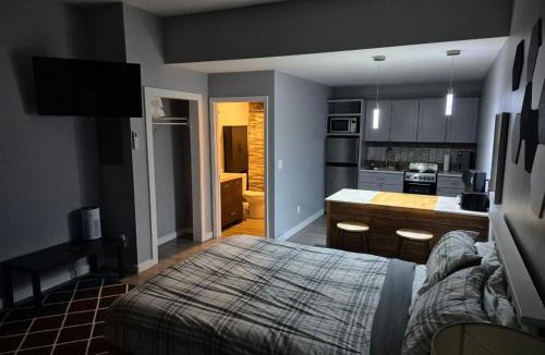 Almont Apartment | 101B New Modern Studio in Maryville