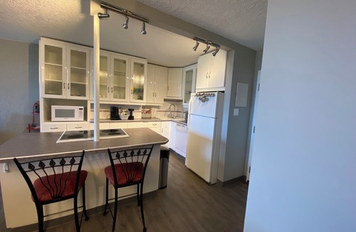 Dalhousie Apartment | 130° River Panoramic View in the heart of Downtown