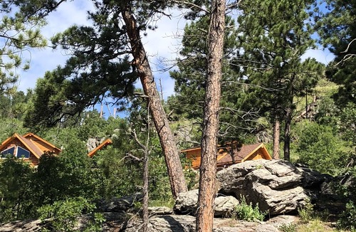 Rapid City Cabin | 8 miles to Mount Rushmore - Sleeps 2 to 6