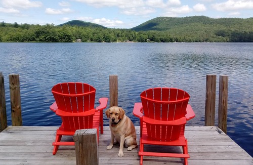 Diamond Point Cottage | A true Adirondack experience on Trout Lake/only 2 mile to Bolton Landing-Lk Geo