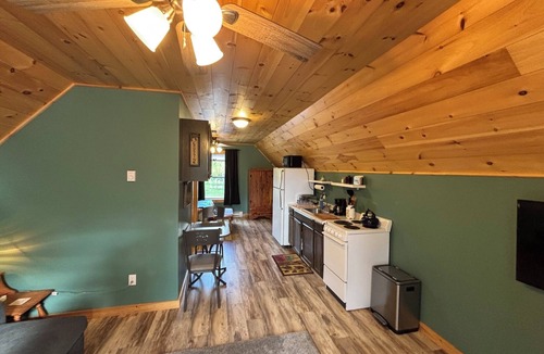 Tupper Lake Apartment | Adirondack Getaway 1-bedroom apartment with AC in Tupper Lake
