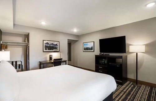 Glenwood Springs Hotel | Adventure-Friendly Haven Near Glenwood Springs Mountains Trails | Free Breakfast