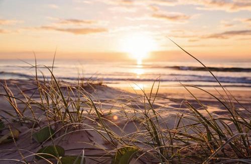 Old Orchard Beach Hotel | Alouette Beach Resort Economy Rooms