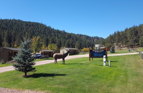 Keystone Cabin | American Pines Cabin, 5 Miles from Mt. Rushmore!