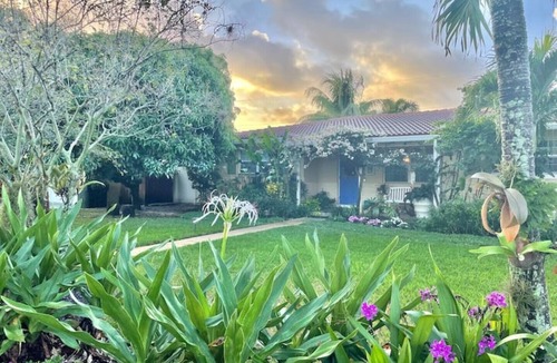 Lake Ida Shores House | Artist's Bungalow minutes to beach/downtown