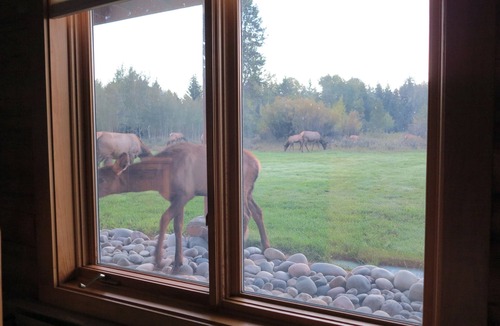 John Dodge House | Beautiful log cabin on 4 acres of private wilderness with stunning mountain view