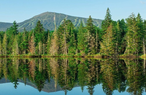 Carrabassett Valley Apartment | Beautiful studio unit at resort, sleeps 4