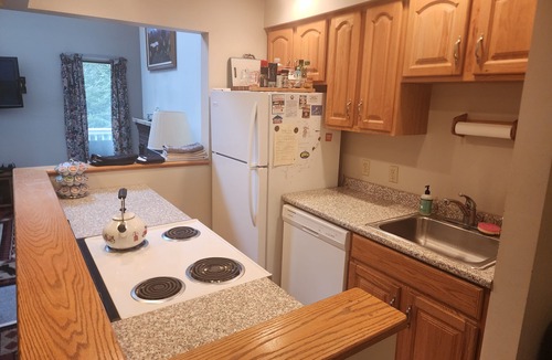 Carroll House | Bretton Woods slopeside condo - comfortable and close with room to spread out!