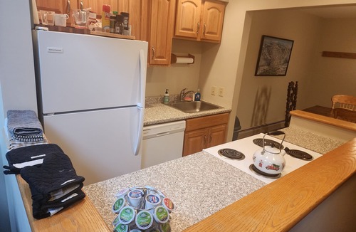 Carroll House | Bretton Woods slopeside condo - comfortable and close with room to spread out!