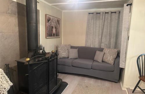 Red River House | Brown Dog Cabin With High Speed Wifi And Ac