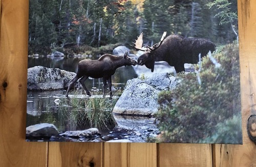 Abbot Cabin | Camp Cozy, On beautiful Piper Pond