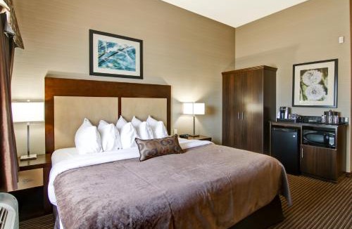 Assiniboia Hotel | Canalta Hotel Assiniboia
